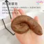 Toàn Bộ Người Phải Có WashyWoo WashyWood Poop Stinky Jelly Pinch Xà Phòng Co Giãn Mềm Rửa Tay Tắm Rửa Mặt Trừu Tượng Cát Điêu Khắc Quà Tặng 4.11