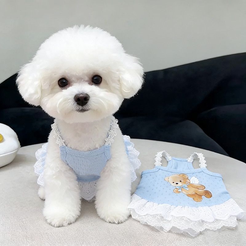 Quần Áo Cho Chó Mùa Xuân Mùa Hè Áo Vest Mỏng In Hình Gấu Váy Ren Quần Áo Thú Cưng
