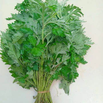 [GIAO HCM] Ngải Cứu Tươi Nguyên Cành Không Rễ - Lá Ngải Cứu Tươi Sạch, Dùng Ngâm Chân/Xông