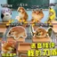 Tấm chắn của tôi treo giọng nói bibilab báo chí giọng nói quanh co bibilab Búp bê sang trọng Sáng tạo Đồ chơi ngộ nghĩnh Tấm chắn của tôi giọng nói Ống hút bibilab âm thanh báo chí quanh co20260408