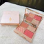 CT Straw Talk Limited Facial Palette Blush Highlighter All-in-One Palette Gentle Pink Brown Tăng cường làn da dành cho người mới biết Bảng trang điểm thân thiện