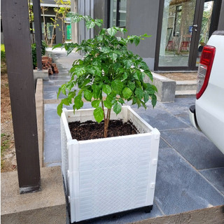 Phụ kiện chậu ghép nhựa HDPE cao cấp thiết kế cải tiến bền bỉ dùng trồng rau, hoa và cây cảnh.