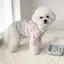 【Ready Stock】 Spring and Summer New Dog Dog Clothes Small and Medium-Sized Dogs Bichon Thin Pet Cat out Anti-Dirty Traction Buckle Dog Clothes kyXy