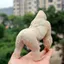Đồ chơi mô phỏng động vật King Kong Gorilla Lớn Tyrannosaurus Rex Mô hình Búp bê khủng long Hình trẻ em Quái vật cậu bé