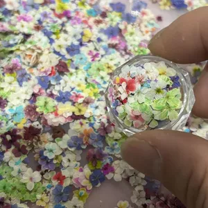 Phong Cách Nhật Bản Làm Móng Tay Hoa Khô Màu Hỗn Hợp Hạt Ngọc Hoa ép Hoa Thật Làm Móng Tay Hoa Khô Trang Sức DIY Vật Liệu Handmade