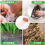 Chuột chặn lưới đồng chống gỉ Lưới đồng để nấu bia chưng cất Lưới đồng bện Rau lưới đồng đỏ Lưới lọc NNND