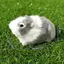 Cheenm Mô Phỏng Lông Chuột Lang Sang Trọng Búp Bê Hamster Búp Bê Sang Trọng Đồ Chơi Nhồi Bông Mềm Hình Động Vật Cho Trẻ Em Quà Tặng Sinh Nhật VN