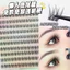 Phong Cách Mới Influencer Tự Dính Đuôi Cá Lười Lông Mi Giả Phân Đoạn Tự Nhiên Cụm Đơn Hàng Ngày Thích Hợp Cho Người Mới Bắt Đầu Mô Phỏng Lông Mi