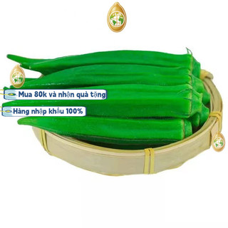 Hạt đậu bắp nhập khẩu từ Trung Quốc, khoảng 90 hạt/gói, giống lùn, năng suất cao, thích hợp trồng quanh năm, k008