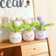 Rytanda Dễ Thương Mềm Bồ Công Anh Đồ Chơi Sang Trọng Cho Bé Trai Bé Gái Sang Trọng Búp Bê Cây Xanh Gốm Gối Ngủ Cho Bé Quà Tặng Ngày Trẻ Em Trang Trí Phòng Ngủ Quà Tặng Sinh Nhật Quà Tặng Sinh Nhật