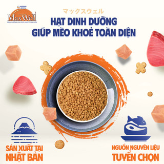 Hạt Cho Mèo MAXWELL 750G - 800G Hạt Dinh Duongs x Hỗ Trợ Thận Và Giảm Nôn MAXWELL