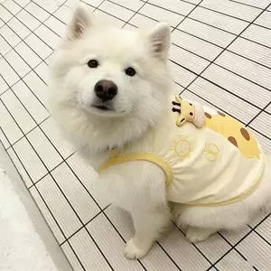 【Ready Stock】 Pet Dog Clothing Spring and Summer New Summer Cute Pet Lemon Yellow Giraffe Vest Large Dog Golden Retriever Labrador 3tZo