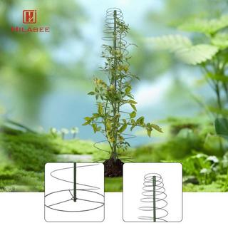 Vườn trong nhà Trellis Khung xoắn ốc bằng kim loại Hỗ trợ cây leo leo Tiết kiệm không gian Lưới sân vườn