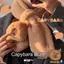 Ấm tai CHEESELY dạng hoạt hình, kèm khăn quàng cổ và găng tay chống gió mùa đông cho nữ