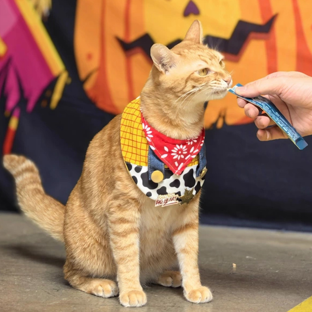 [Pet-Eleven] Yếm Mèo Hoạt Hình Yếm Chó Dễ Thương Phong Cách Denim Đẹp Trai Thoáng Mát Dễ Thương Nước Bọt Khăn Trang Trí Thú Cưng Chó Nhỏ