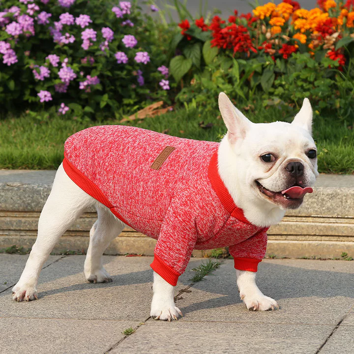 Mùa Thu Đông Len Áo Pháp Bulldog Chó Mèo Thú Cưng Quần Áo Nhỏ Vừa Chó Quần Áo Cho Chó Mèo Quần Áo Đồ Dùng