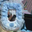Vỏ Thẻ Phụ Kiện Trang Trí Nhà Deocr Tặng DIY Sang Trọng Tai Handmade Hoạt Hình Dễ Thương Khoảng 40 Cái / bộ