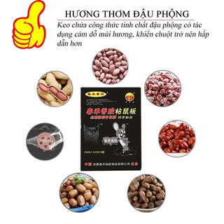 🐀Chuột không thoát🌈Keo Dính Chuột Siêu Dính-miếng dán chuột siêu dính-bẫy dính chuột siêu chắ-To và dày Chứa mồi