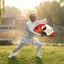 Quạt Âm Dương Thái Cực Quạt 33cm Mực Kung Fu Quạt Linh Hồn Trung Quốc Buổi Sáng Thực Hành Thái Cực Vũ Kung Fu Hiệu Suất Quạt 260419
