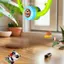 Bộ Trò Chơi Bóng Bàn Gắn Cửa Điều Chỉnh Được - Perfect cho Tập Luyện và Giải Trí tại Nhà