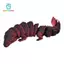 Gamchiano 3D In Hình Cá Sấu Mô Hình Cho Văn Phòng Tại Nhà Ngày Lễ Sưu Tập Bàn Trang Trí Cá Sấu Hình Khớp Linh Hoạt Động Vật Khớp Nối
