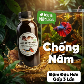 Nước Cốt Lá Bàng Đậm Đặc Gấp 3 Lần Lọc Lưới Nano Siêu Trong Dưỡng Cá Giảm Stress