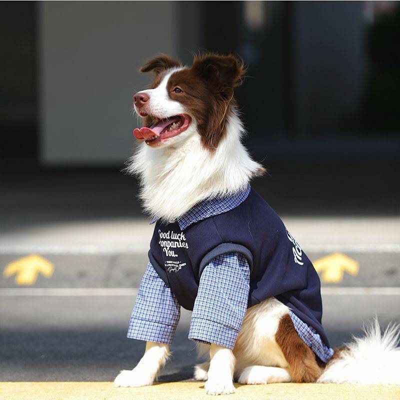 【Ready Stock】 Pet Dog Clothes Autumn and Winter Fleece-Lined Thickened Large Dog Golden Retriever Labrador Border Collie Clothes DwT8