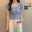 Áo Thun Nữ Tay Ngắn Thêu Hoa Ren Mỏng, Phong Cách INS Mới