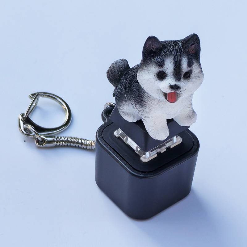 < WHPHous-t > Móc khóa bàn phím Fidget, Đồ chơi mèo Fidget có thể làm cho mèo Móc khóa âm thanh, Giảm căng thẳng có thể sạc lại bằng đèn đẹp