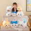 chiikawa hachiware usagi momonga búp bê sang trọng quà tặng sinh nhật cho bé Đồ chơi dịu nhẹ Ném Gối Đồ chơi nhồi bông