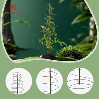 Vườn trong nhà Trellis Khung xoắn ốc bằng kim loại Hỗ trợ cây leo leo Tiết kiệm không gian Lưới sân vườn
