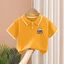 Áo Sơ Mi Polo Trẻ Em Tay Ngắn Bé Trai Ve Áo Tee Thường Ngày Mùa Hè Nhẹ Mặc Hàng Ngày Quần Áo