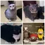 Mô hình giấy mèo CODECOVED, Oiiiao Cat Huh Trang trí nhà cửa Giấy gấp 3D Cat, Ngộ nghĩnh Wonder Kitten Handmade Xoay mèo con Mẫu giấy DIY
