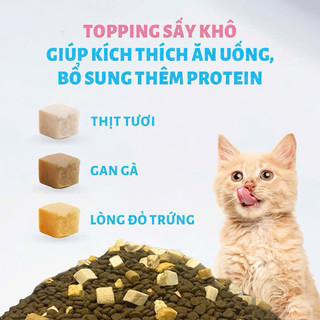 Thức ăn cho mèo MRVET  T1 1KG với 30% protein, gà, gan gà, lòng đỏ cho mèo ở mọi lứa tuổi