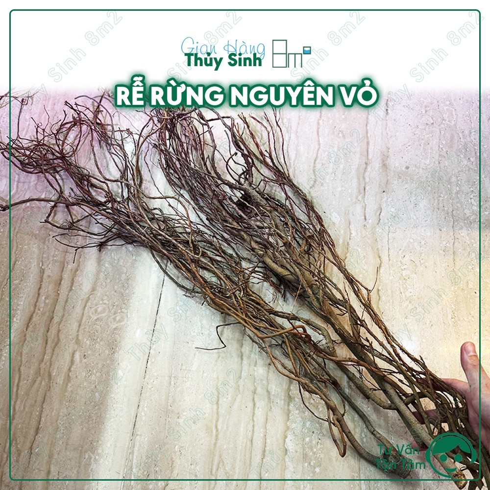 Rễ Rừng Nguyên Vỏ | Rễ Rừng Dẻo Trang Trí Hồ Thủy Sinh, Bán Cạn, Bò Sát | 8m2 ...