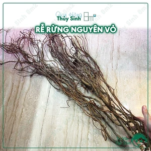 Rễ Rừng Nguyên Vỏ | Rễ Rừng Dẻo Trang Trí Hồ Thủy Sinh, Bán Cạn, Bò Sát | 8m2 ...