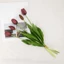 SHUPUN 5 Cái / 1 Hoa Tulip Nhân Tạo, Bó Hoa Tay Cao Su 41CM, Bó Hoa Mô Phỏng Cảm Ứng Thực Tế Cao Cấp Cho Đám Cưới Trang Trí Nhà