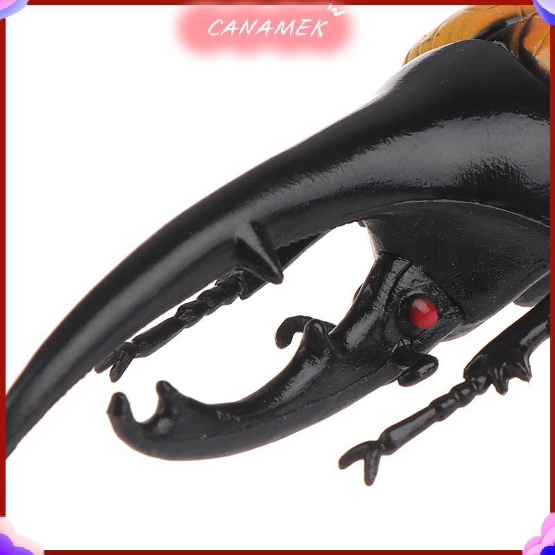 CANAMEK Mô phỏng bọ cánh cứng đồ chơi mô hình đặc biệt giống như thật đồ chơi côn trùng hỗ trợ giảng trò đùa CSF
