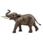 Schleich Nam Phi Voi Mô Hình Trẻ Em Voi Safari Đồ Chơi Bộ Sưu Tập Đồ Trang Trí 14762