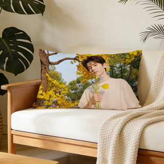 Vỏ gối hình chữ nhật bằng Polyester in một mặt Zhang Linghe, Vỏ đệm ghế Sofa ô tô, Trang trí nội thất (Không bao gồm chèn gối).