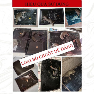 🐀Chuột không thoát🌈Keo Dính Chuột Siêu Dính-miếng dán chuột siêu dính-bẫy dính chuột siêu chắ-To và dày Chứa mồi