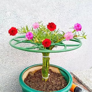 Khung giá đỡ hoa mười giờ,1 Khung Nhựa Hỗ Trợ Trồng Cây Có Thể Xếp Chồng Lên Nhau-ALINE