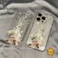 ốp lưng Cho IPhone 15 14 17 11 12 16 13 Pro Max X XR XS Max 7 14 8 15 Plus 14 15 16 Pro AIR Tiền cho sự giàu có đột ngột