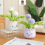 Rytanda Dễ Thương Mềm Bồ Công Anh Đồ Chơi Sang Trọng Cho Bé Trai Bé Gái Sang Trọng Búp Bê Cây Xanh Gốm Gối Ngủ Cho Bé Quà Tặng Ngày Trẻ Em Trang Trí Phòng Ngủ Quà Tặng Sinh Nhật Quà Tặng Sinh Nhật