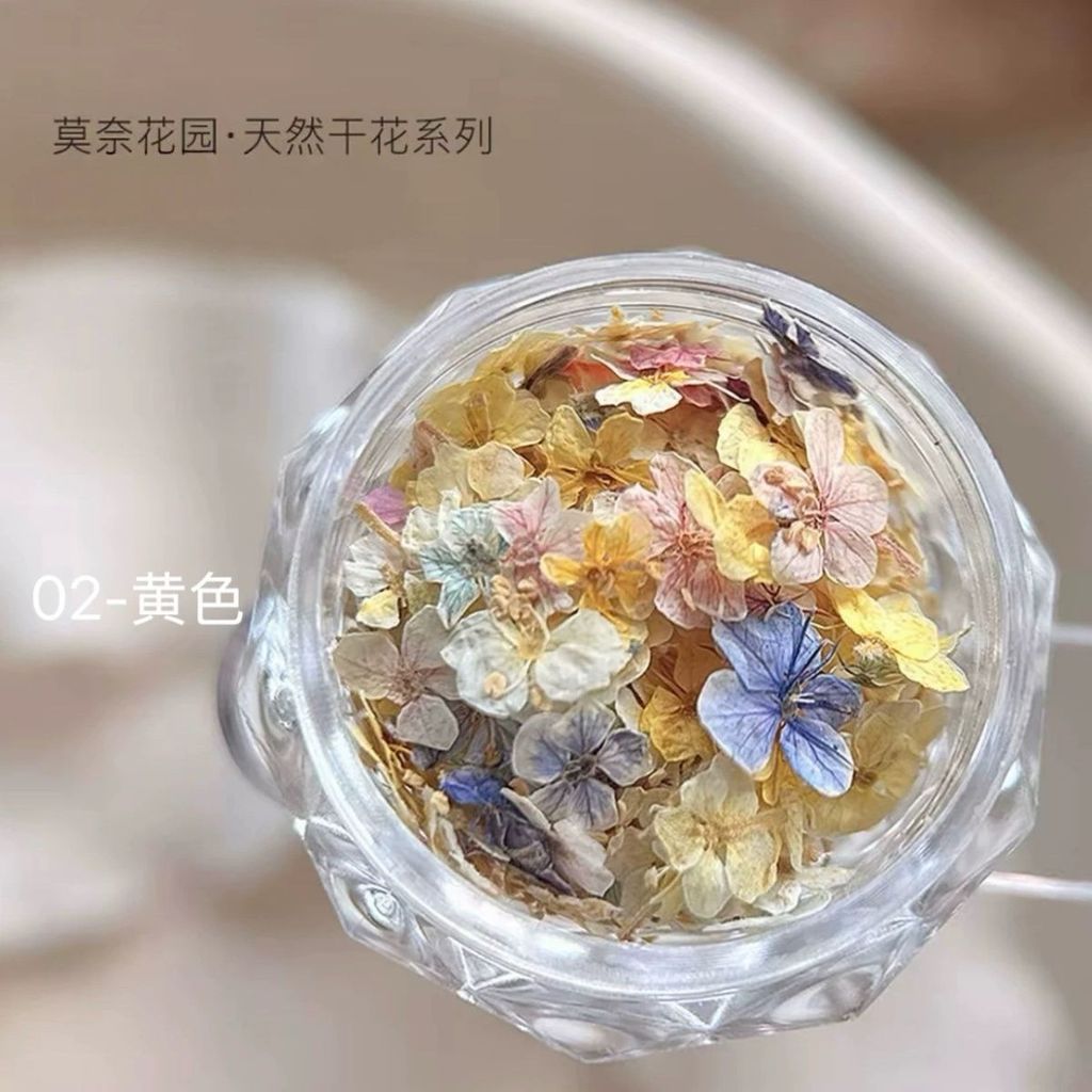Làm Móng Tay Hoa Khô Chất Liệu Hỗn Hợp Monet Garden Mini Năm Cánh Chất Liệu Hoa Tím Nhỏ Hoa Tự Làm Móng Tay Trang Sức