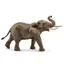 Schleich Nam Phi Voi Mô Hình Trẻ Em Voi Safari Đồ Chơi Bộ Sưu Tập Đồ Trang Trí 14762
