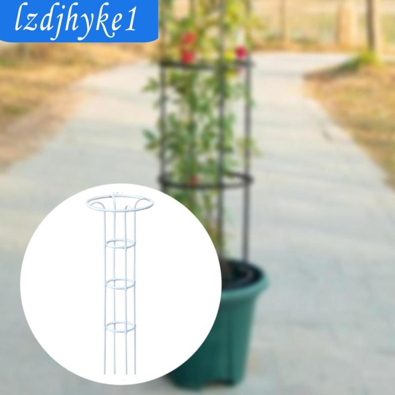 Vườn Obelisk Trellis Cây Kim Loại Trellis Chắc Chắn Hoa Đứng Dụng Cụ Làm Vườn Leo Khung Cho Hoa Hồng Hoa Chậu Cây