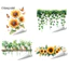 Olimpidd| Decal Dán Tường Hoa Hướng Dương Dán Tường Cây Xanh Lá Đề Can Dán Tường – Có Thể Tháo Rời Peel Stick Treo Dán Tường Cây Nho Cho Trẻ Em Phòng Ngủ Tivi Nền Trang Trí Nhà Dễ Dàng