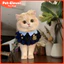 Preppy Phong Cách Chó Nước Bọt Khăn Chó Nhỏ Thú Cưng Mèo Yếm Phụ Kiện Dễ Thương Yếm Ảnh Trang Trí Đạo Cụ Mèo cosplay