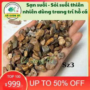 ( .. Sạn Suối - Sỏi suối thiên nhiên Trải Nền Trang Trí Bể Cá Thuỷ Sinh, Bán Cạn, BIOTOP . )